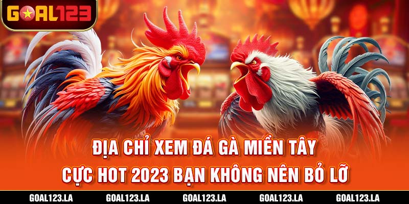 Địa Chỉ Xem Đá Gà Miền Tây Cực Hot 2023 Bạn Không Nên Bỏ Lỡ
