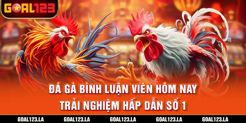 Đá Gà Bình Luận Viên Hôm Nay - Trải Nghiệm Hấp Dẫn Số 1
