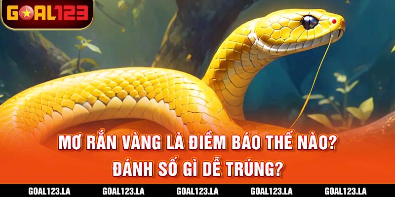 Mơ Rắn Vàng Là Điềm Báo Thế Nào? Đánh Số Gì Dễ Trúng?