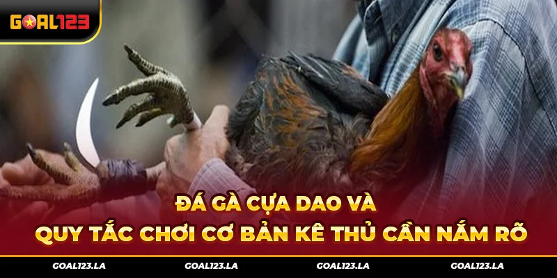 Đá Gà Cựa Dao Và Quy Tắc Chơi Cơ Bản Kê Thủ Cần Nắm Rõ