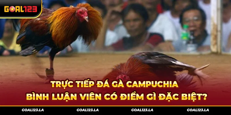 Trực Tiếp Đá Gà Campuchia Bình Luận Viên Có Điểm Gì Đặc Biệt?